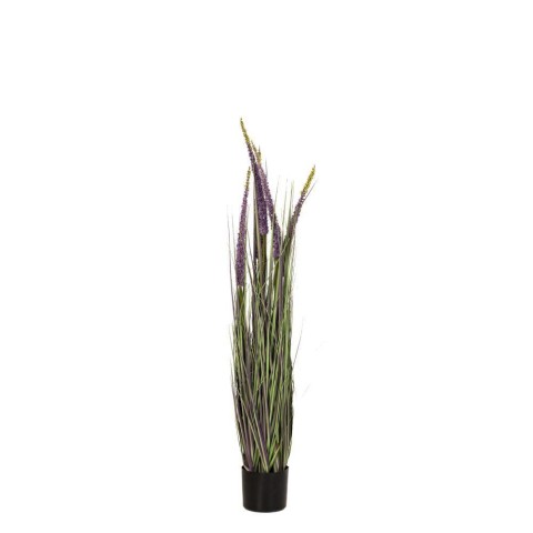 LAVANDA PIANTA D.15X120CM